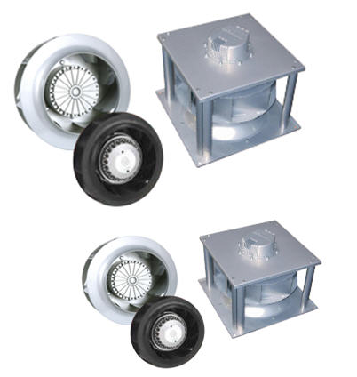 detail-product