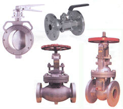 detail-product