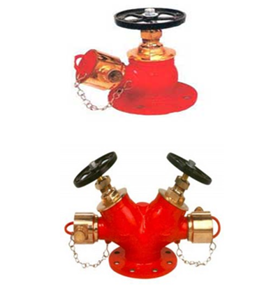 detail-product